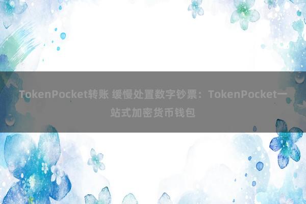 TokenPocket转账 缓慢处置数字钞票：TokenPocket一站式加密货币钱包