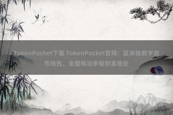 TokenPocket下载 TokenPocket官网：区块链数字货币钱包，全面相沿多链财富惩处